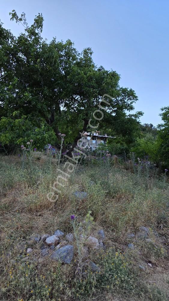 Manisa / Şehzadeler / Ayvacık Köyünde Doğayla İç İçe Villa — fotoğraf 32