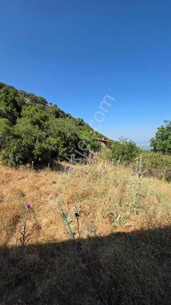 Manisa Şehzadeler Ayvacık Köyünde 299 M² Arsa İçinde Villa — fotoğraf 33