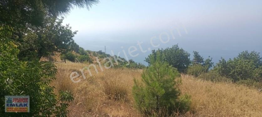 Aydıncık Emlaktan Satılık Tarla 851m2 — fotoğraf 2