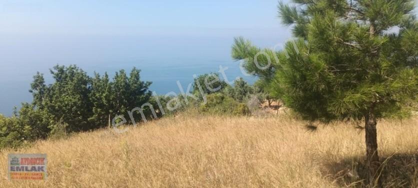 Aydıncık Emlaktan Satılık Tarla 851m2 — fotoğraf 3