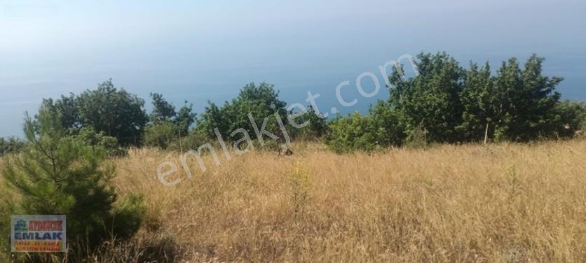 Aydıncık Emlaktan Satılık Tarla 851m2 — fotoğraf 4