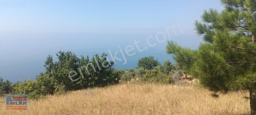 Aydıncık Emlaktan Satılık Tarla 851m2 — fotoğraf 5