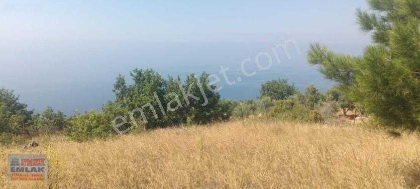 Aydıncık Emlaktan Satılık Tarla 851m2 — fotoğraf 6