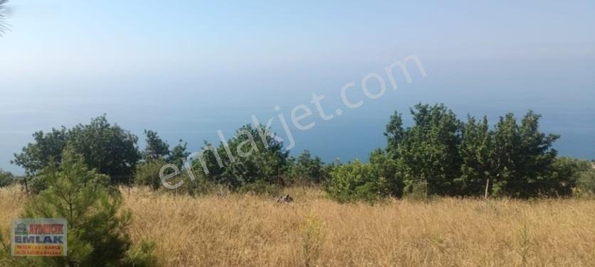 Aydıncık Emlaktan Satılık Tarla 851m2 — fotoğraf 8
