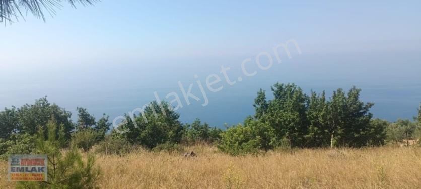 Aydıncık Emlaktan Satılık Tarla 851m2 — fotoğraf 12