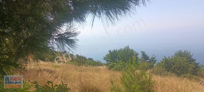 Aydıncık Emlaktan Satılık Tarla 851m2 — fotoğraf 13