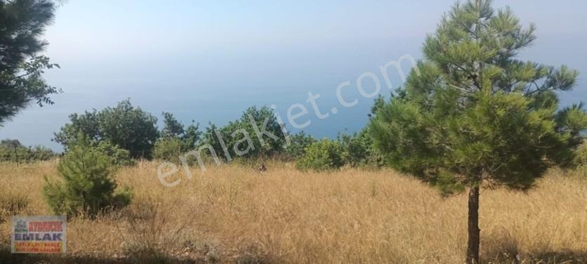 Aydıncık Emlaktan Satılık Tarla 851m2 — fotoğraf 14