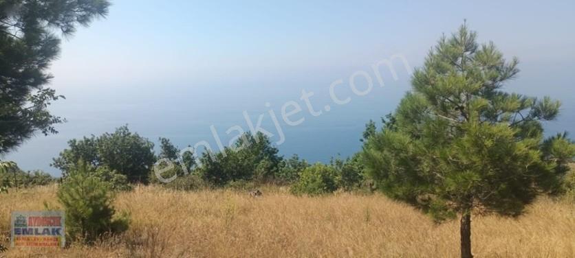 Aydıncık Emlaktan Satılık Tarla 851m2 — fotoğraf 15