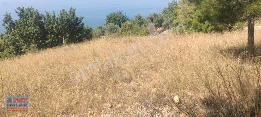 Aydıncık Emlaktan Satılık Tarla 851m2 — fotoğraf 16
