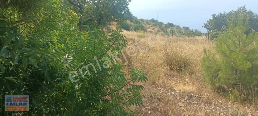 Aydıncık Emlaktan Satılık Tarla 851m2 — fotoğraf 17