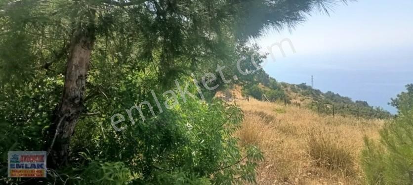 Aydıncık Emlaktan Satılık Tarla 851m2 — fotoğraf 19