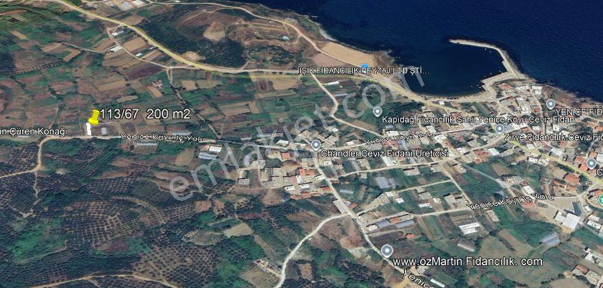 Sahil Yenice’de 200 M² |yola Cepheli Köy Yerleşimine Yakın — fotoğraf 7