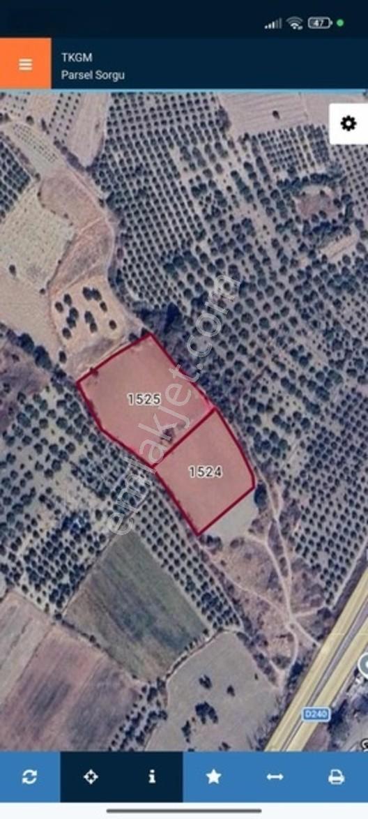 Kınık Cumalıda 2 Adet Tarla Tek Tek Satılabilir