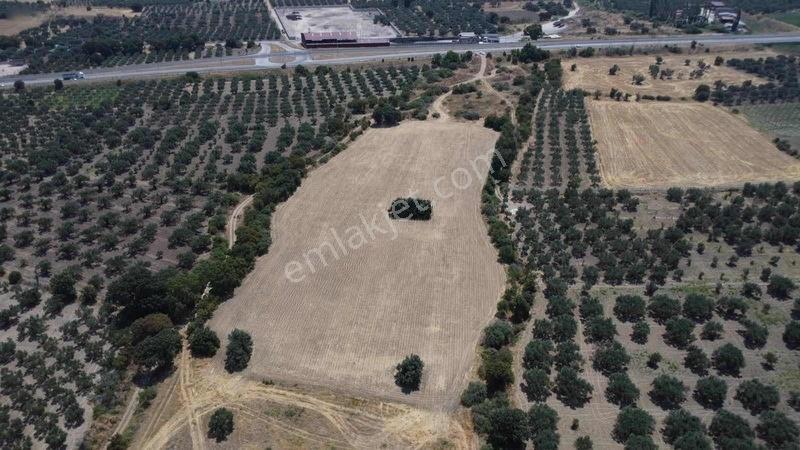 Kınık Cumalıda 2 Adet Tarla Tek Tek Satılabilir — fotoğraf 3