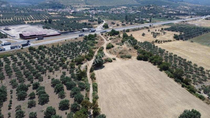 Kınık Cumalıda 2 Adet Tarla Tek Tek Satılabilir — fotoğraf 6