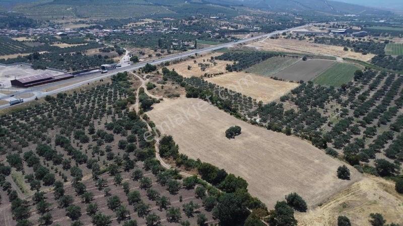 Kınık Cumalıda 2 Adet Tarla Tek Tek Satılabilir — fotoğraf 8