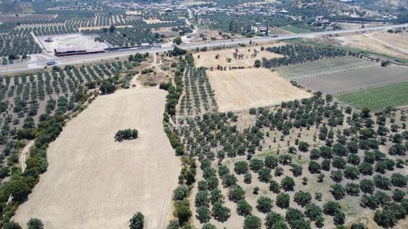 Kınık Cumalıda 2 Adet Tarla Tek Tek Satılabilir — fotoğraf 10