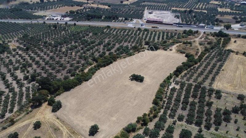Kınık Cumalıda 2 Adet Tarla Tek Tek Satılabilir — fotoğraf 11
