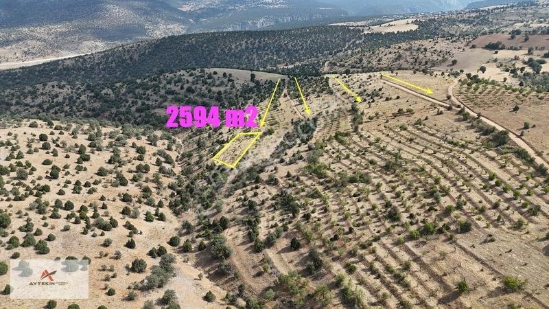 Her Bütçeye Uygun Müstakil Tapulu Araziler — fotoğraf 3