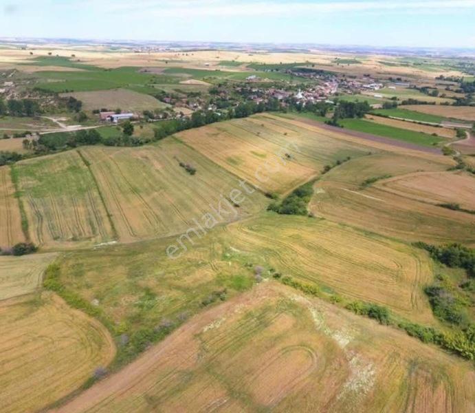 Tema Emlaktan Tekirdağ Hayrabolu Çene Mah 31 Dönüm Satılık Tarla — fotoğraf 4