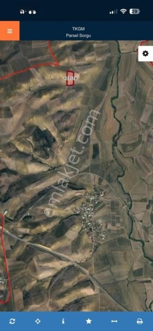 Tema Emlaktan Tekirdağ Hayrabolu Çene Mah 31 Dönüm Satılık Tarla — fotoğraf 7
