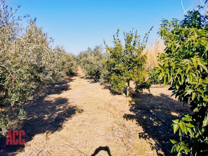 Acc Homes'tan Köprüçay Irmağına Sıfır Parsel — fotoğraf 4