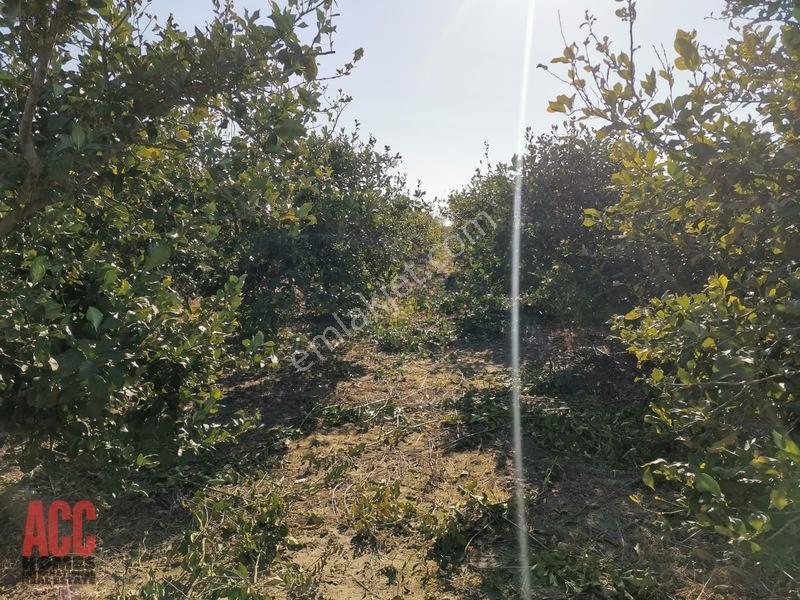 Acc Homes'tan Köprüçay Irmağına Sıfır Parsel — fotoğraf 12