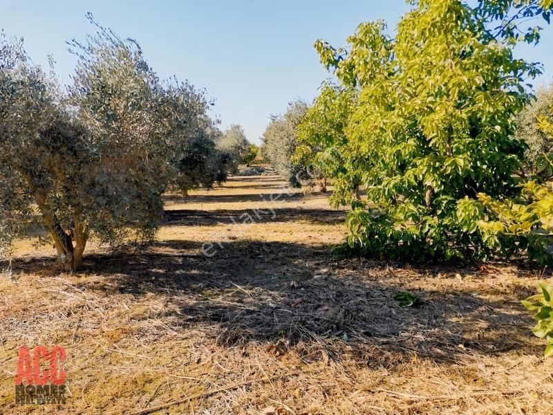 Acc Homes'tan Köprüçay Irmağına Sıfır Parsel — fotoğraf 14