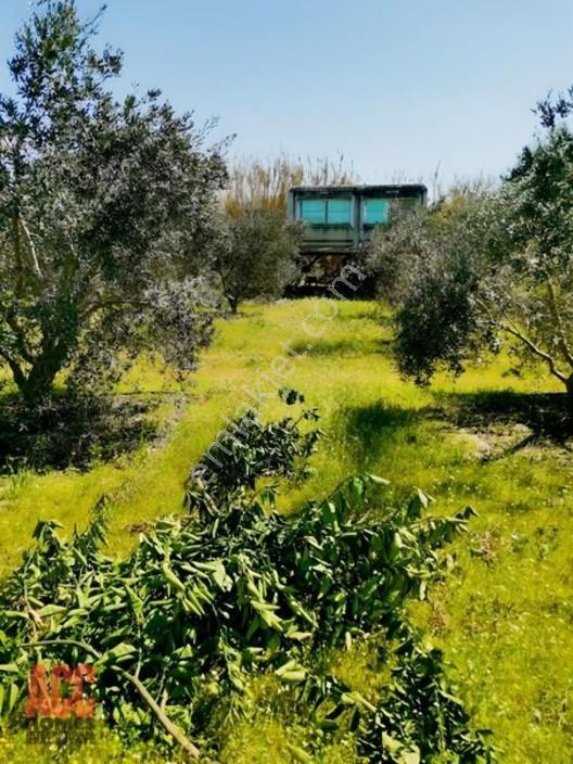 Acc Homes'tan Köprüçay Irmağına Sıfır Parsel — fotoğraf 17