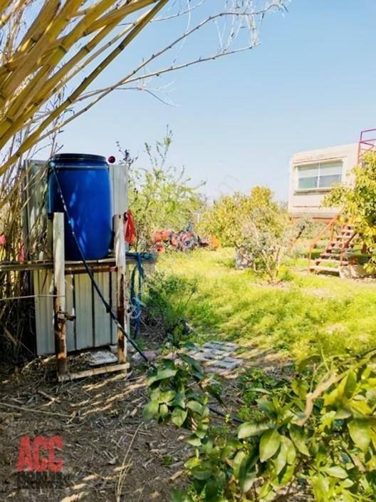 Acc Homes'tan Köprüçay Irmağına Sıfır Parsel — fotoğraf 19