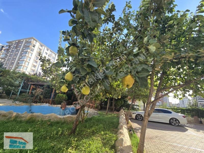 Bozdoğandan Çilesizde Satılık 3+1 Daire — fotoğraf 34