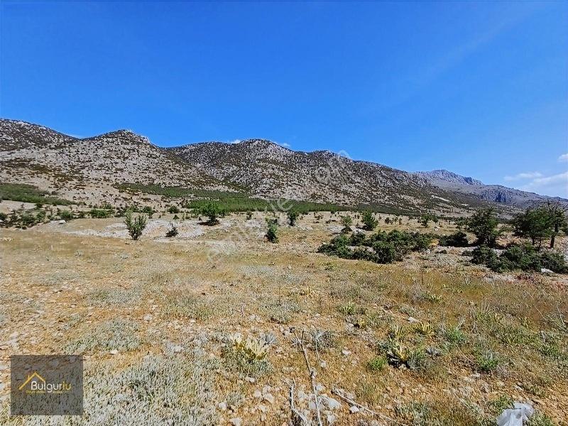 Kapanmaz Cepheli Yayla Manzaralı Arazi. — fotoğraf 7