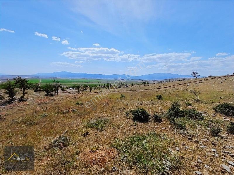 Kapanmaz Cepheli Yayla Manzaralı Arazi. — fotoğraf 13