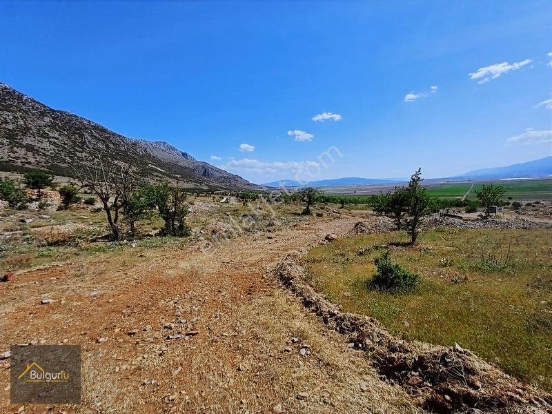 Kapanmaz Cepheli Yayla Manzaralı Arazi. — fotoğraf 18