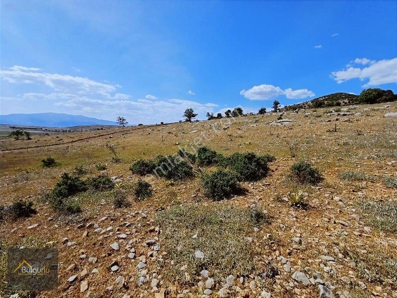 Kapanmaz Cepheli Yayla Manzaralı Arazi. — fotoğraf 19