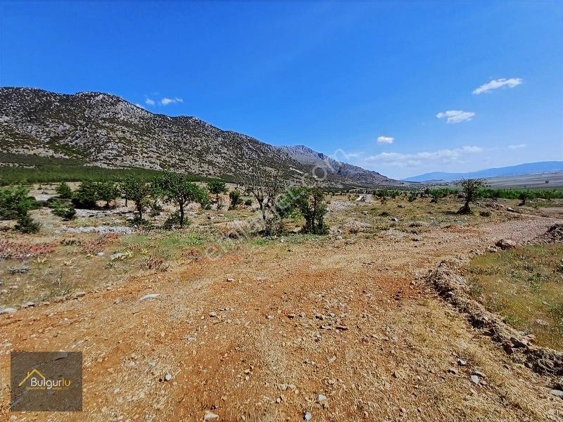 Kapanmaz Cepheli Yayla Manzaralı Arazi. — fotoğraf 23