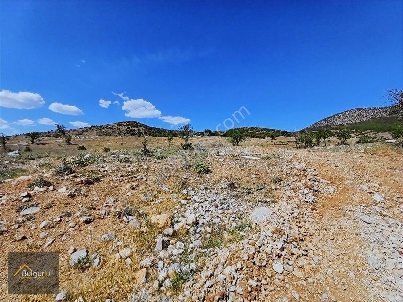 Kapanmaz Cepheli Yayla Manzaralı Arazi. — fotoğraf 27