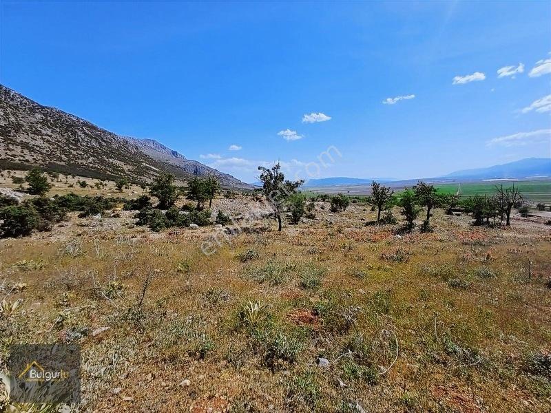 Kapanmaz Cepheli Yayla Manzaralı Arazi. — fotoğraf 30