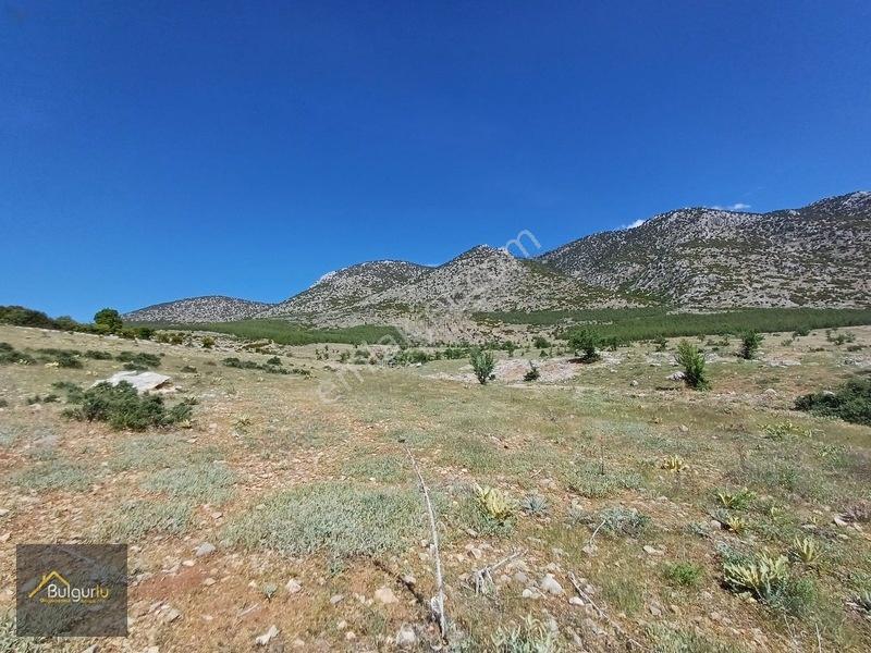 Kapanmaz Cepheli Yayla Manzaralı Arazi. — fotoğraf 31