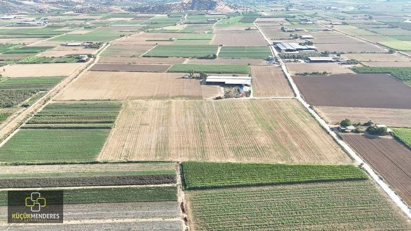 Küçük Menderes'ten Adagide Mh. Satılık 3 Tapu 57.475 M2 Tarla — fotoğraf 13
