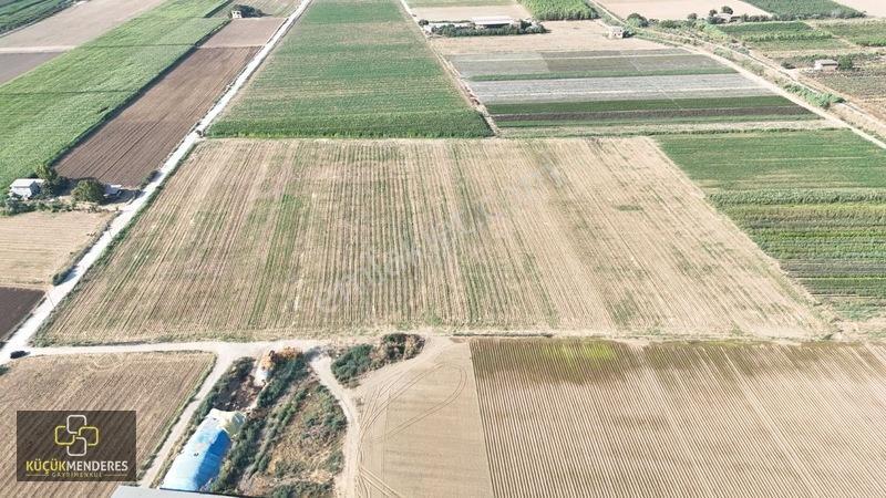 Küçük Menderes'ten Adagide Mh. Satılık 3 Tapu 57.475 M2 Tarla — fotoğraf 15