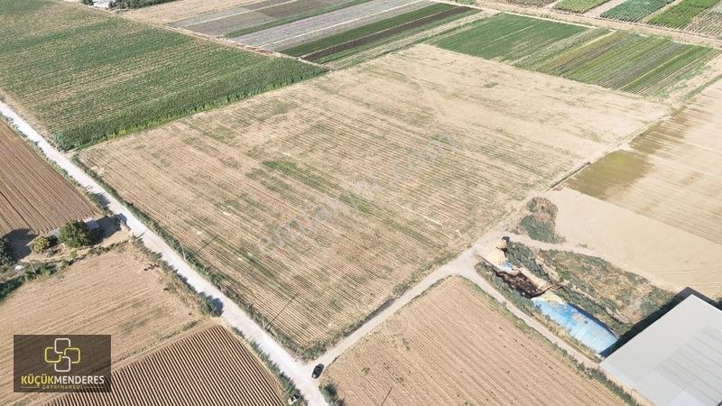 Küçük Menderes'ten Adagide Mh. Satılık 3 Tapu 57.475 M2 Tarla — fotoğraf 17