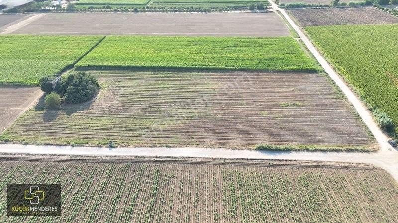 Küçük Menderes'ten Adagide Mh. Satılık 3 Tapu 57.475 M2 Tarla — fotoğraf 25