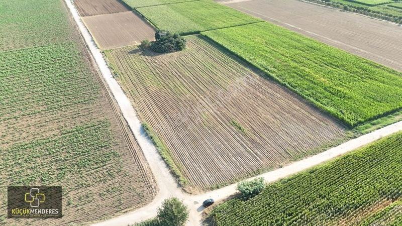 Küçük Menderes'ten Adagide Mh. Satılık 3 Tapu 57.475 M2 Tarla — fotoğraf 26
