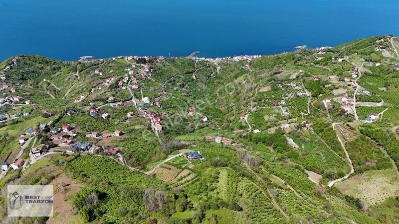 Best Of Trabzon Mersinde Ful Deniz Ve Doğa Manzaralı Arsa