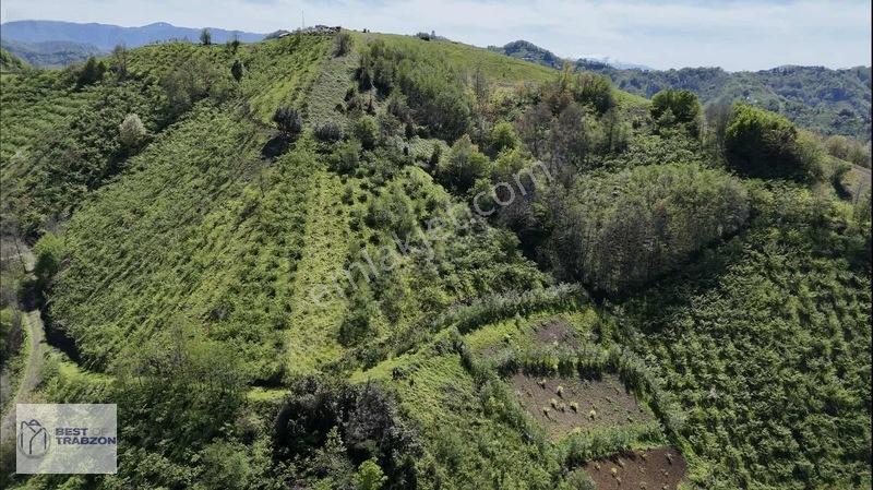 Best Of Trabzon Mersinde Ful Deniz Ve Doğa Manzaralı Arsa — fotoğraf 2