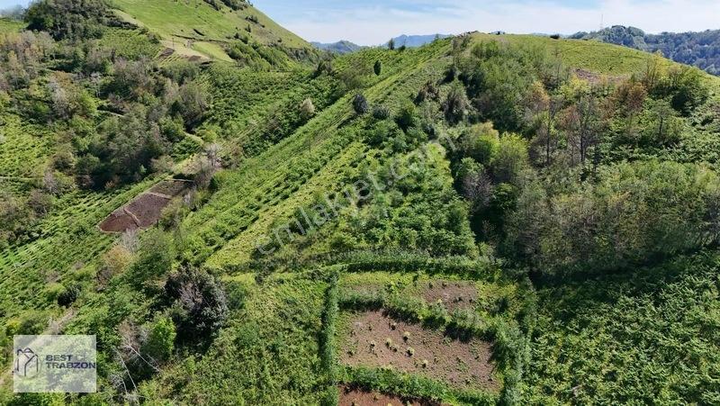 Best Of Trabzon Mersinde Ful Deniz Ve Doğa Manzaralı Arsa — fotoğraf 3