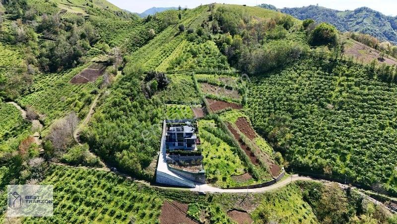 Best Of Trabzon Mersinde Ful Deniz Ve Doğa Manzaralı Arsa — fotoğraf 5