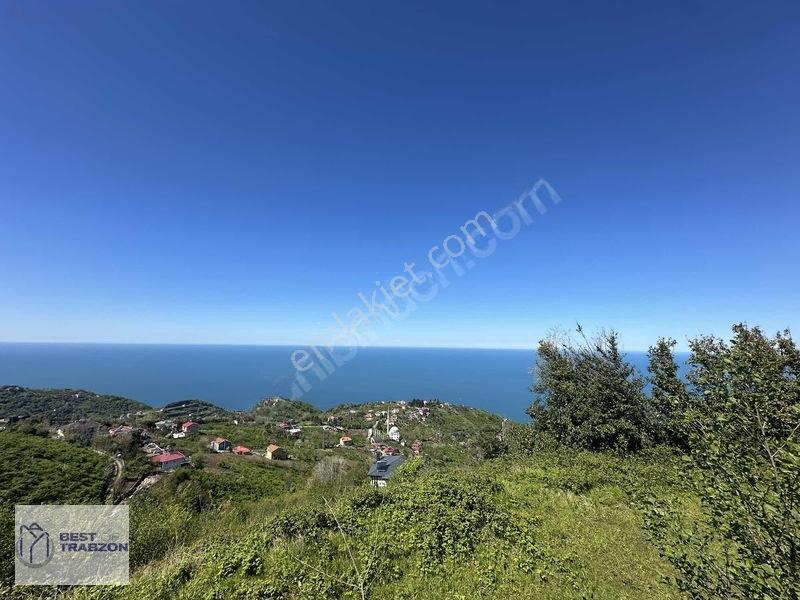 Best Of Trabzon Mersinde Ful Deniz Ve Doğa Manzaralı Arsa — fotoğraf 7