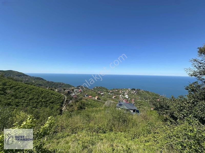 Best Of Trabzon Mersinde Ful Deniz Ve Doğa Manzaralı Arsa — fotoğraf 8